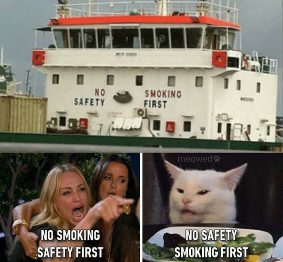 Женщина орет на кота