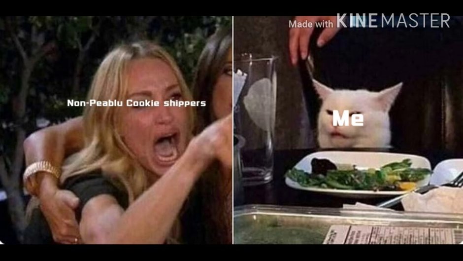 Мем с котом за столом