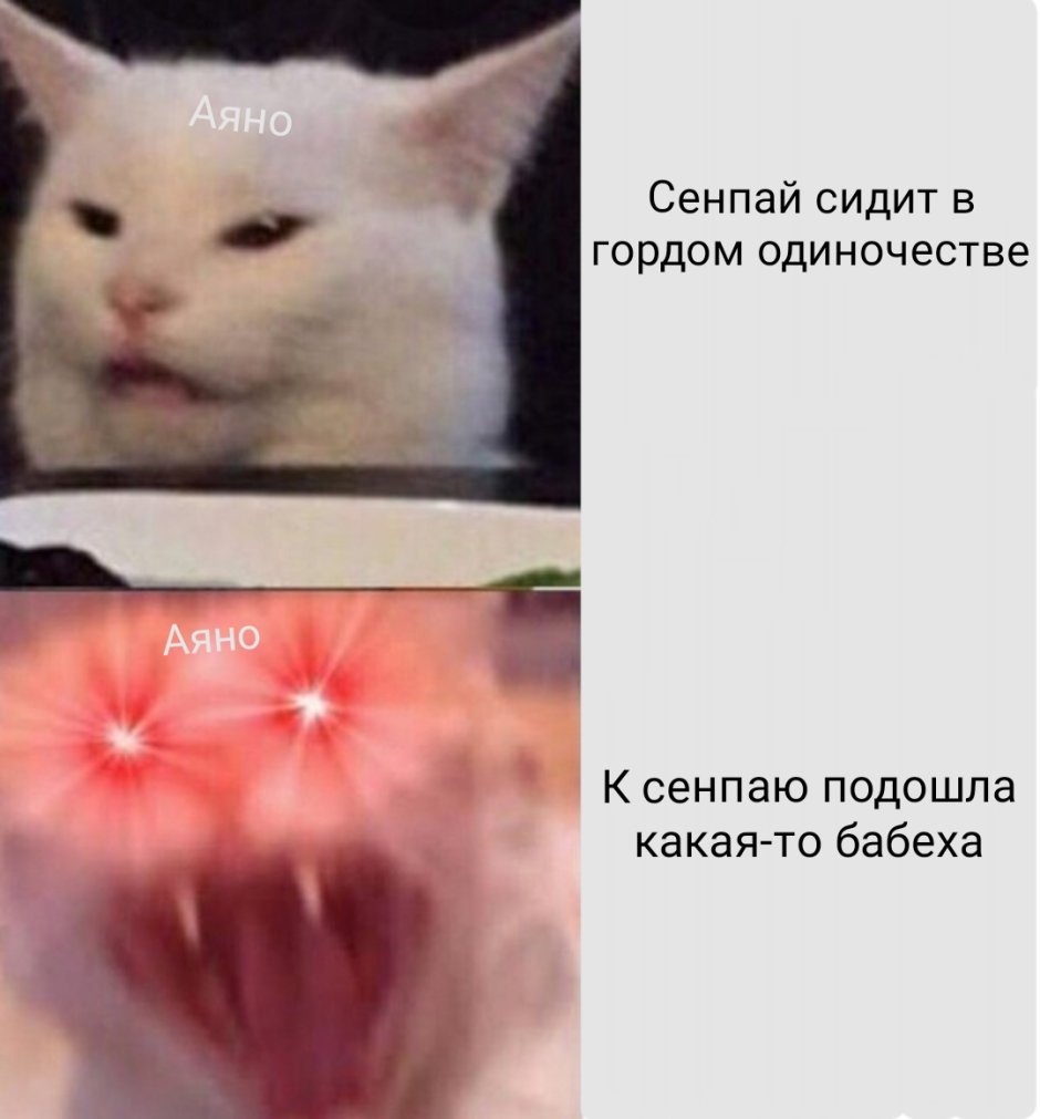 Пикчи я тебя люблю котики