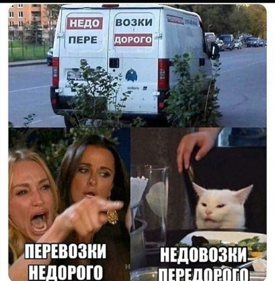 Скелет кота
