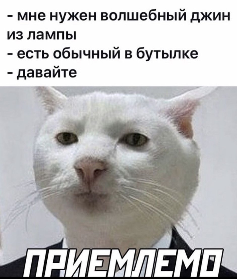 Наташ ты спишь