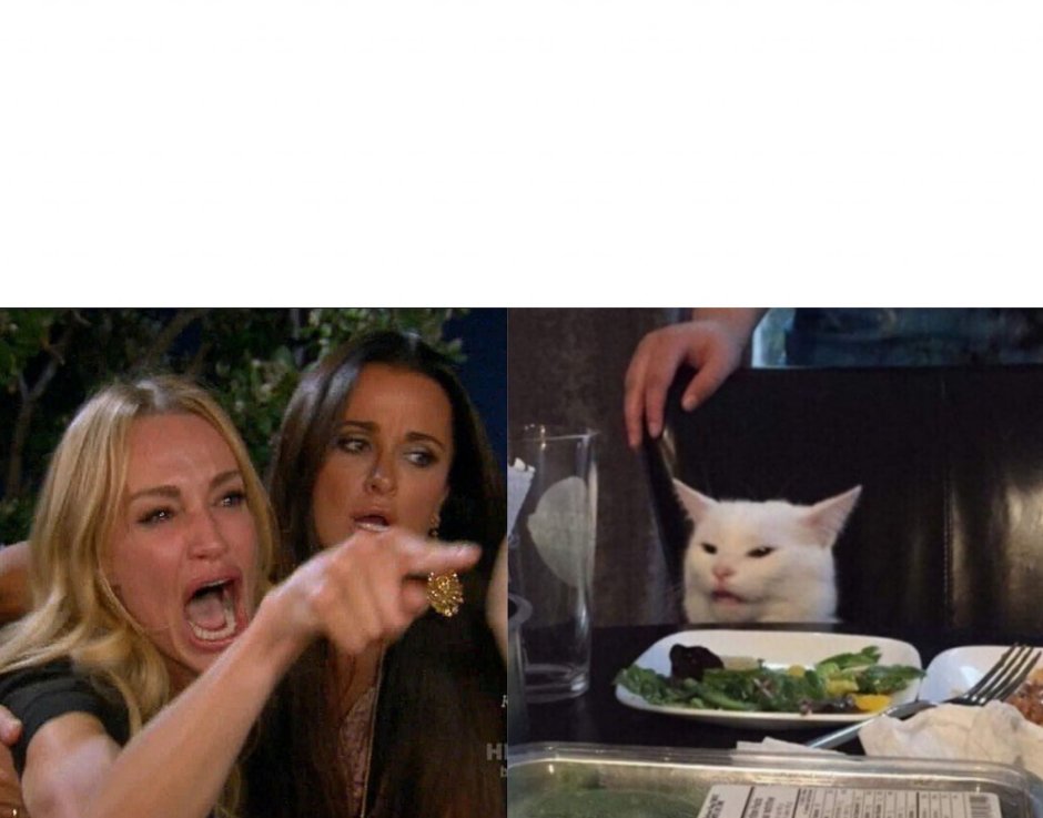 Мемы с котом и девушками