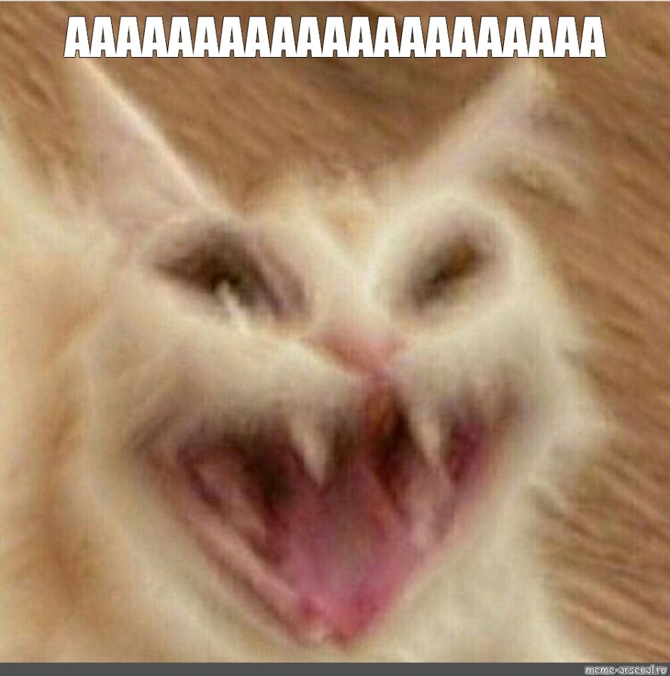 Кот кричит аааа