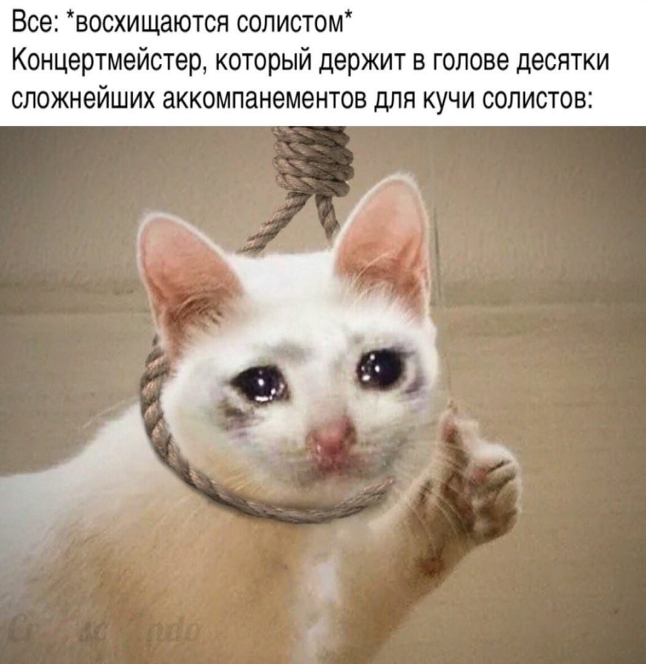 Орущий кот в шляпе