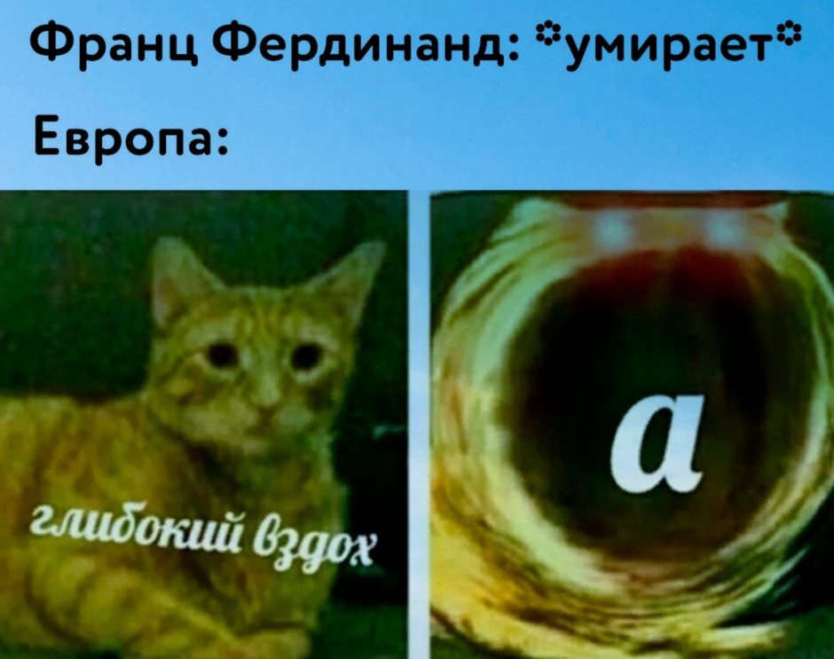 Приемлемо Мем кот в костюме