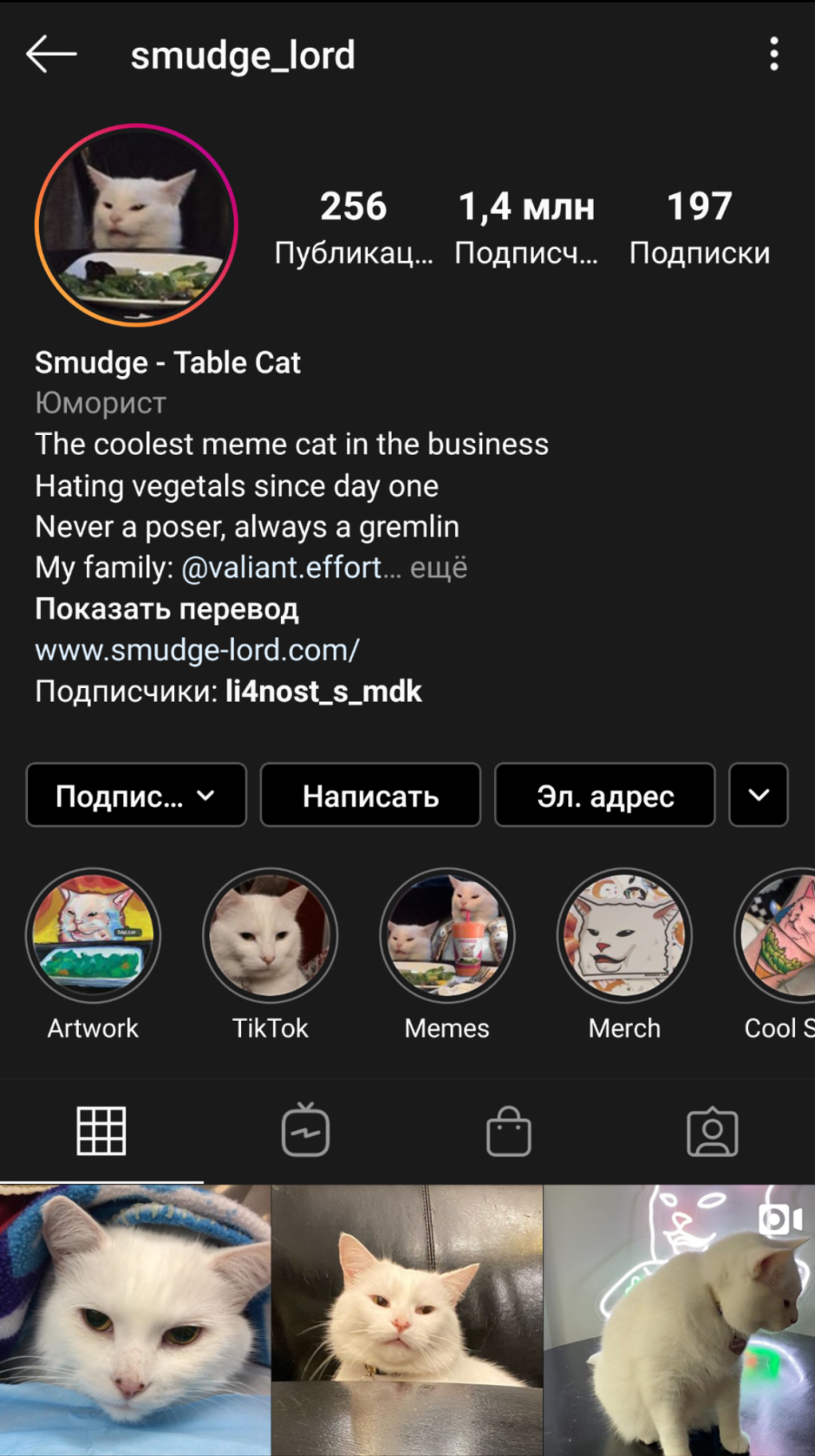 Орущий кот из мема