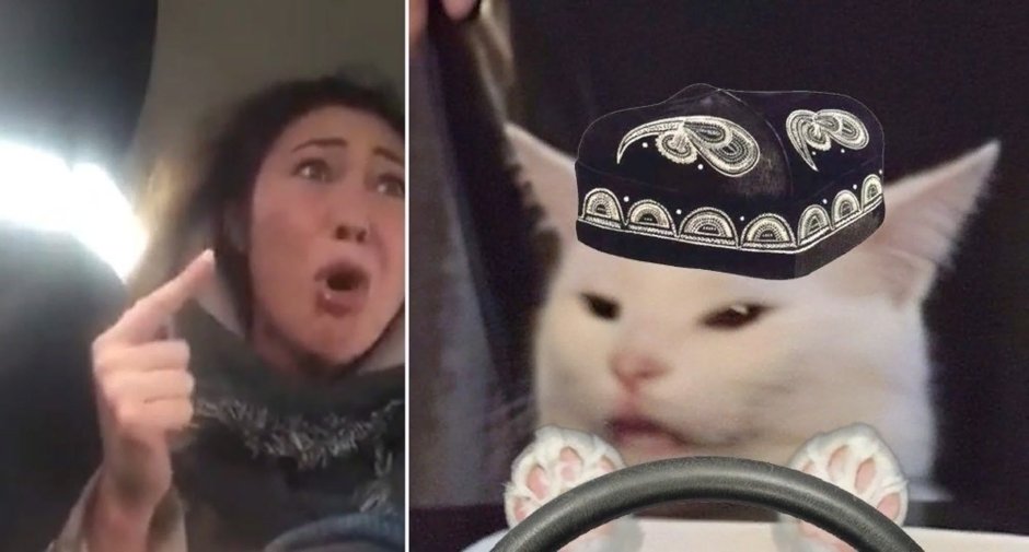 Кричащий белый кот