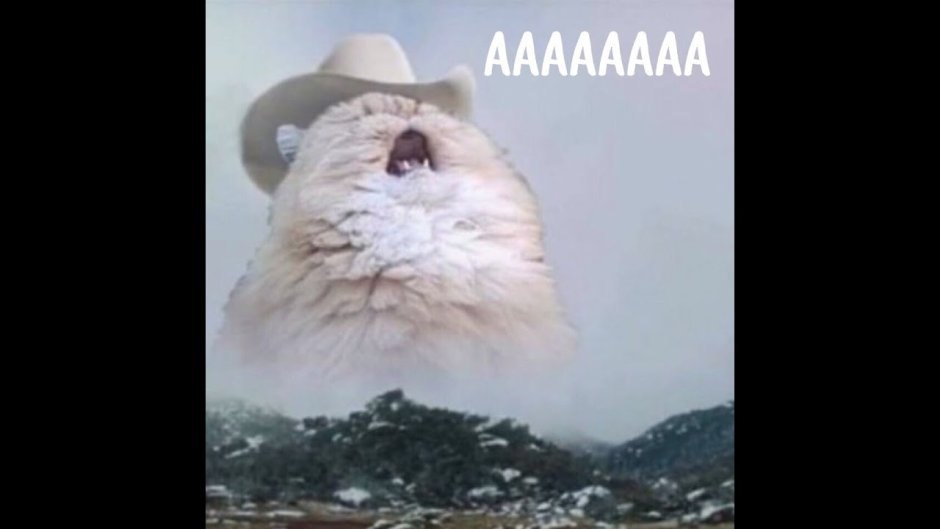 Котик со слезами