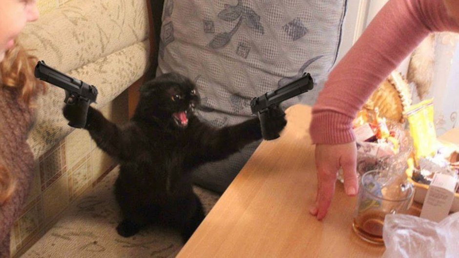 Орущий белый кот Мем