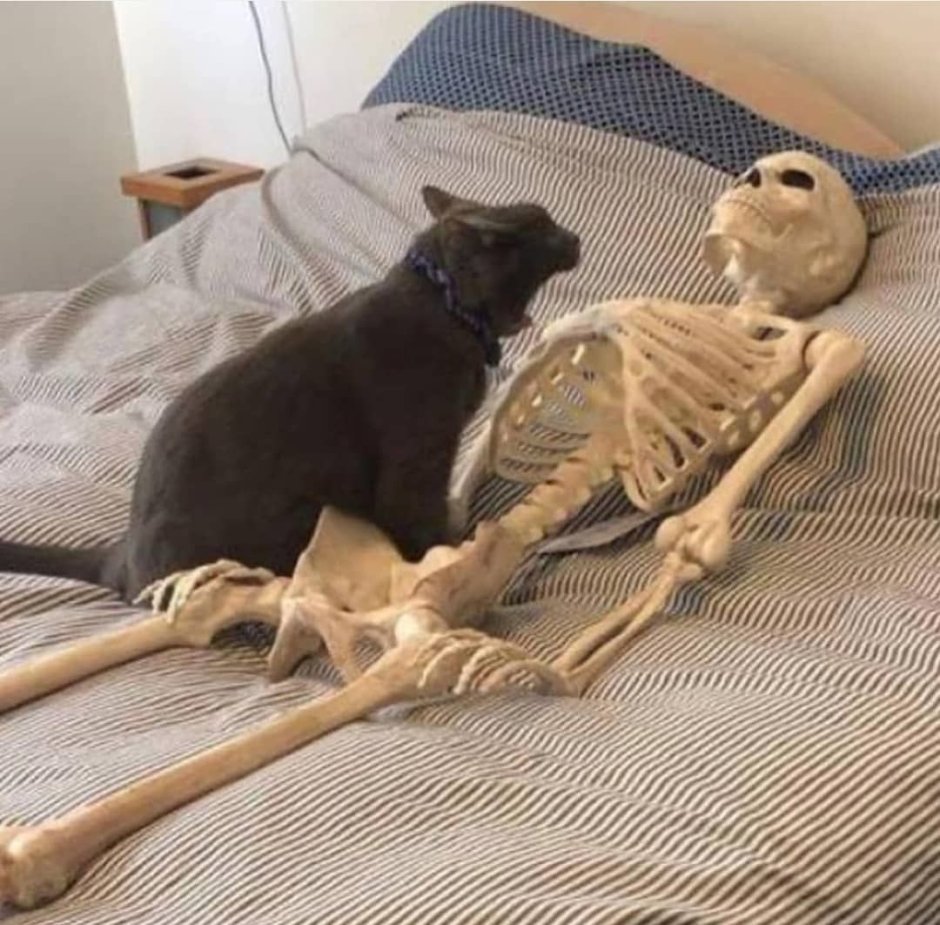 Плачущий кот мультяшный
