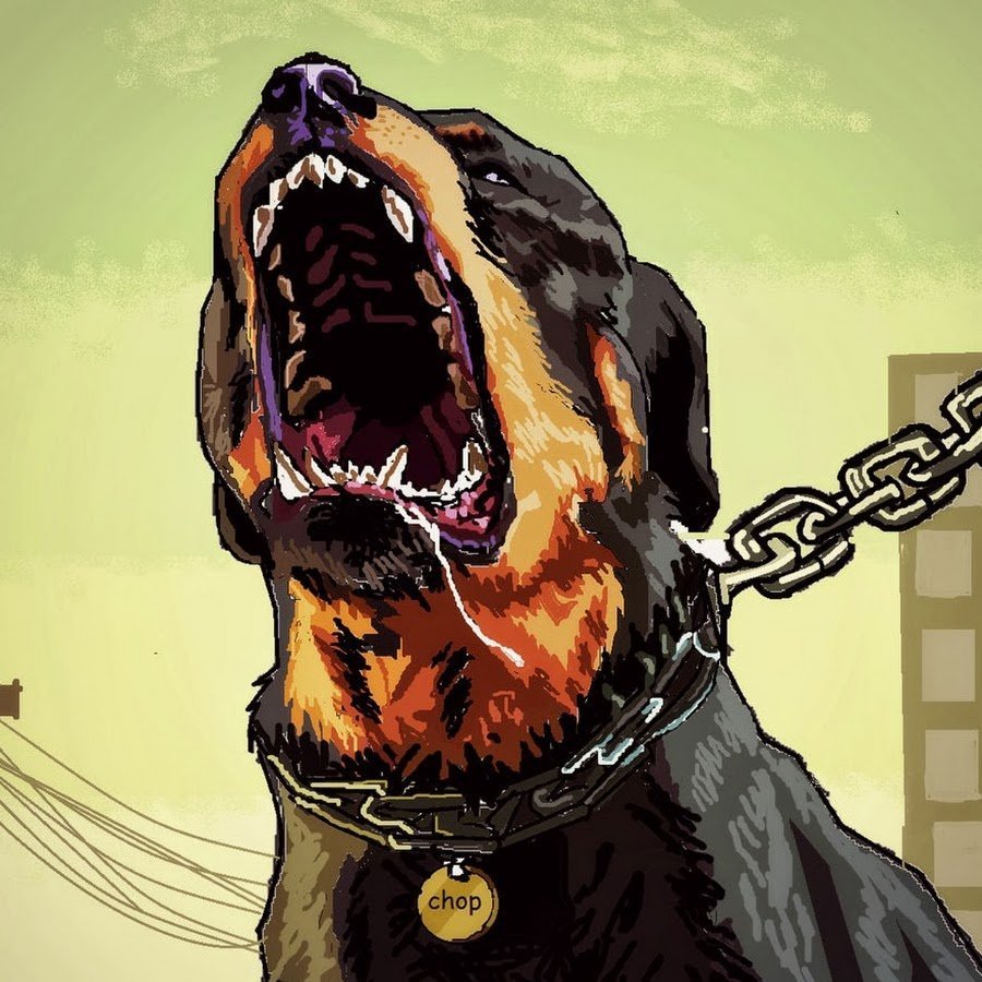 Ротвейлер с голубыми глазами