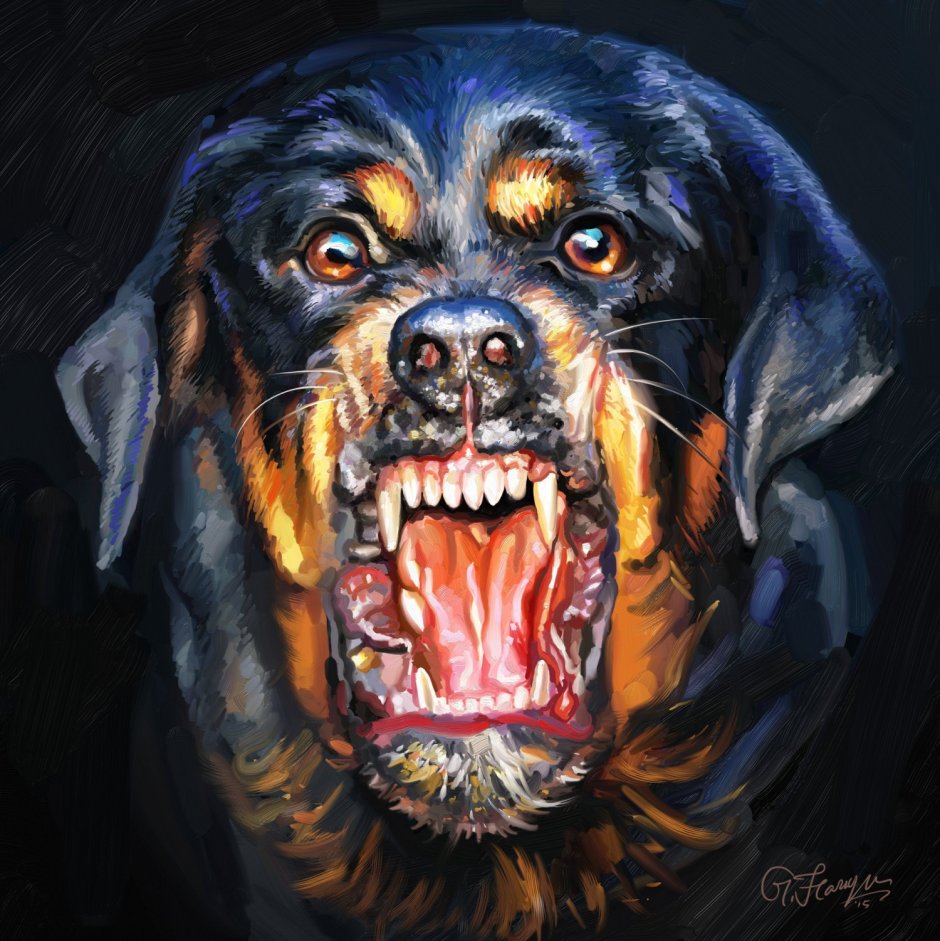 Ротвейлер собака злой