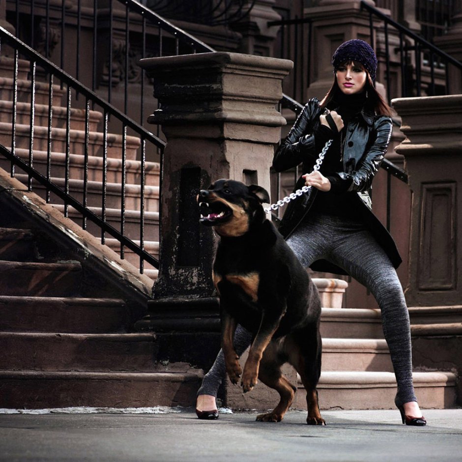 Ротвейлер загрыз ребенка