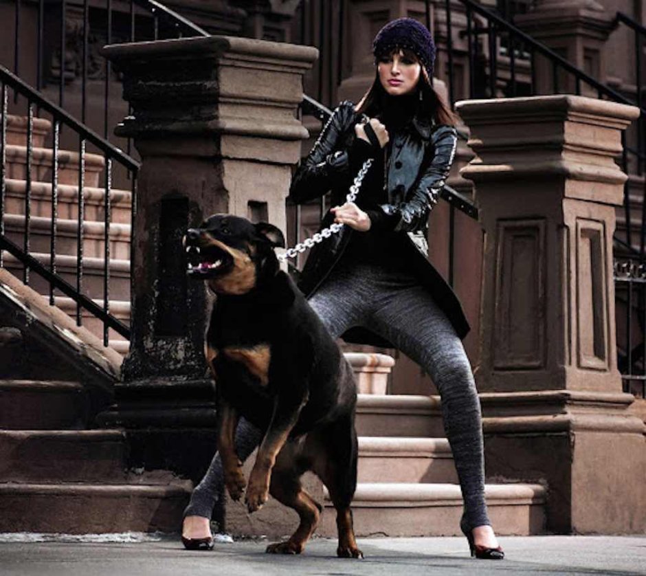 Брутальные собаки