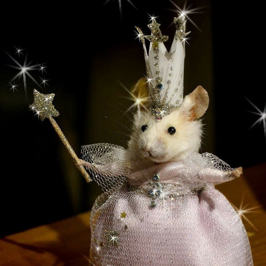 Крыса на заставку