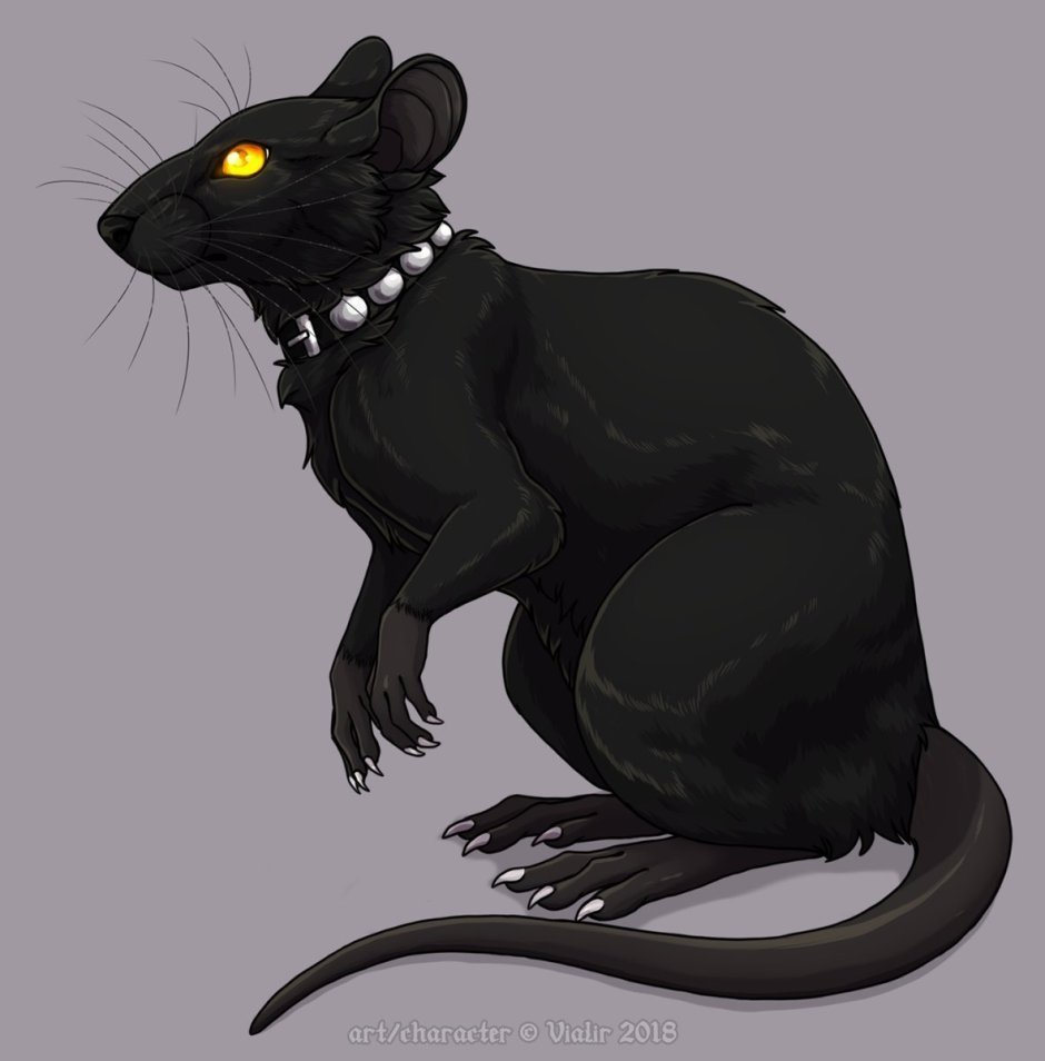 Крыса в траве