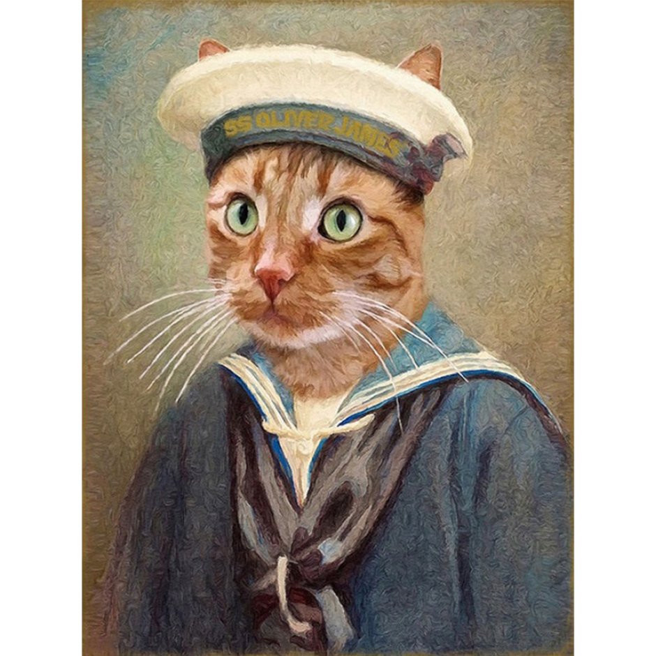 Кот матрос
