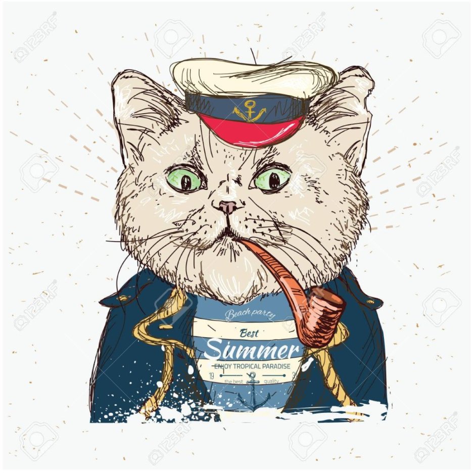 Котик с трубкой