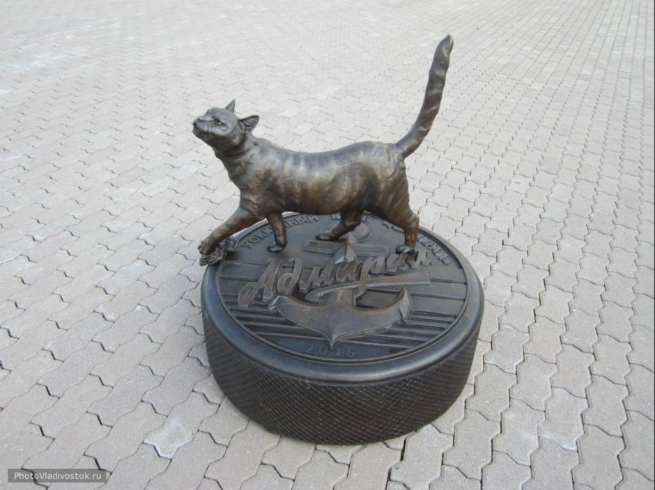 Кошка матроска Владивосток