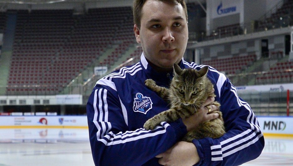 Кошка матроска талисман команды Адмирал
