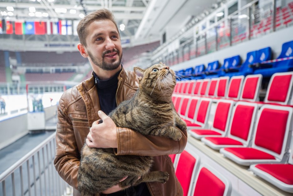 Коты и ВМФ