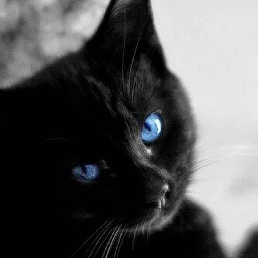 Кошачий глаз