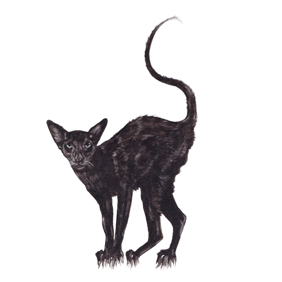 Кошачьи картины Сюзан Ле Гуд