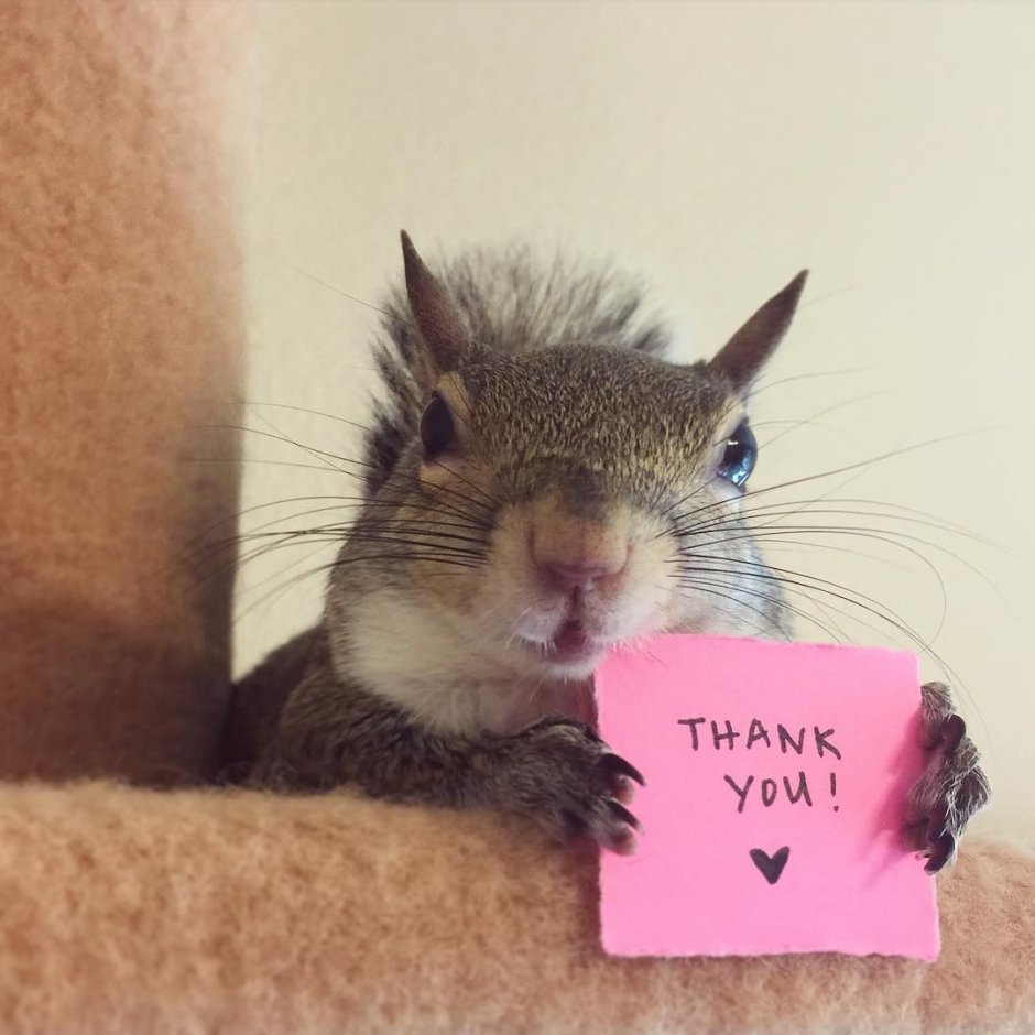Reddit clawler Белла Бревер "she's amazing"