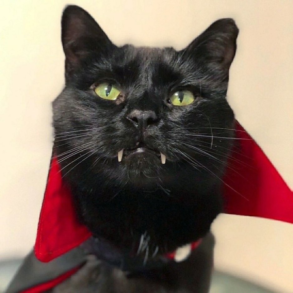 Граф Мрякула