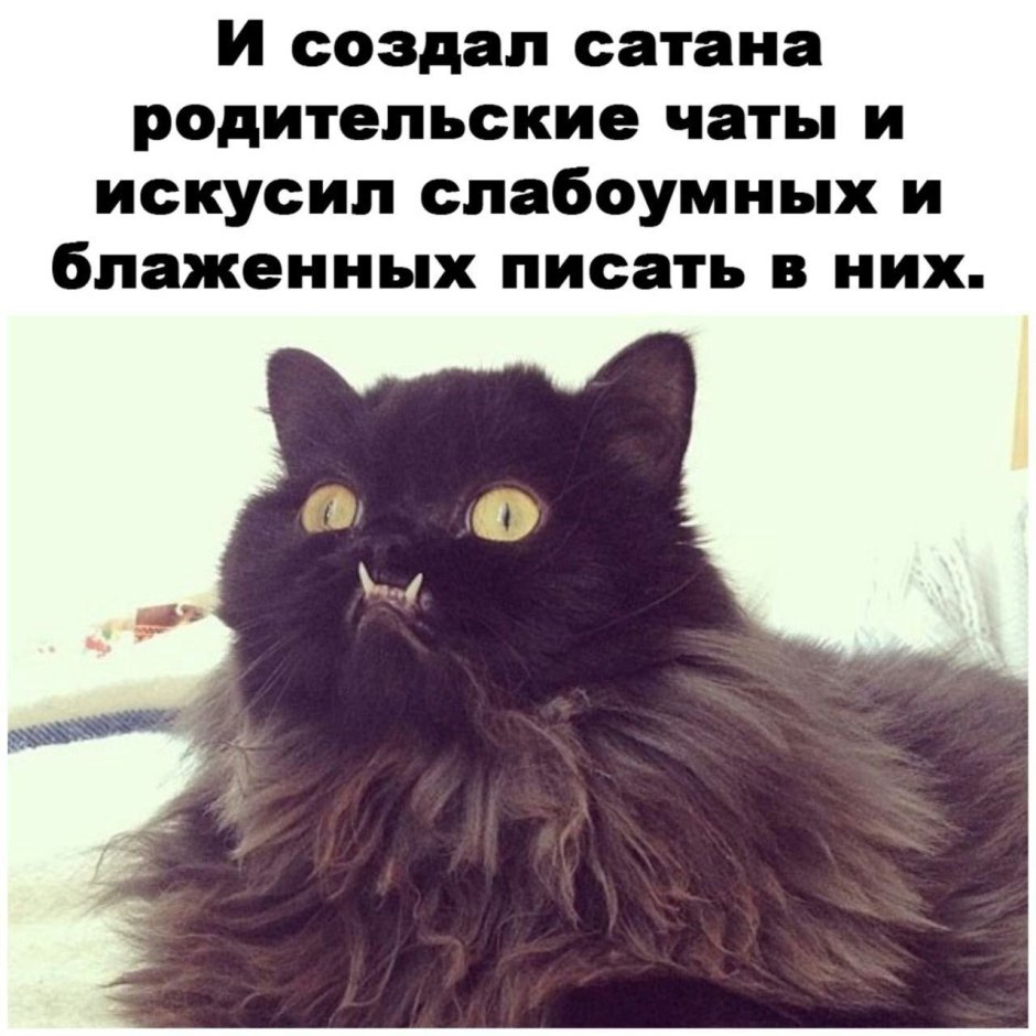 Дьявольский кот