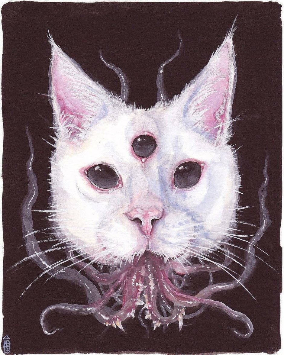 Беззубый кот