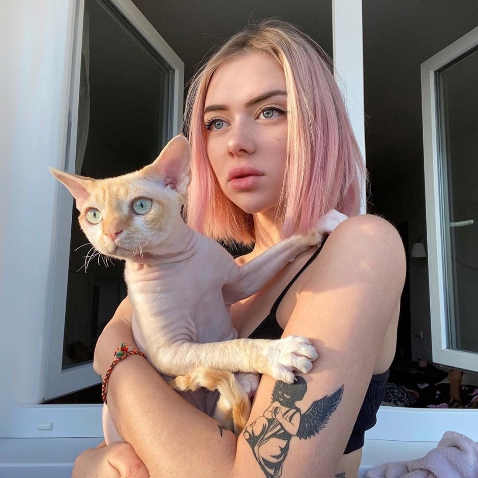 Котята Эстетика