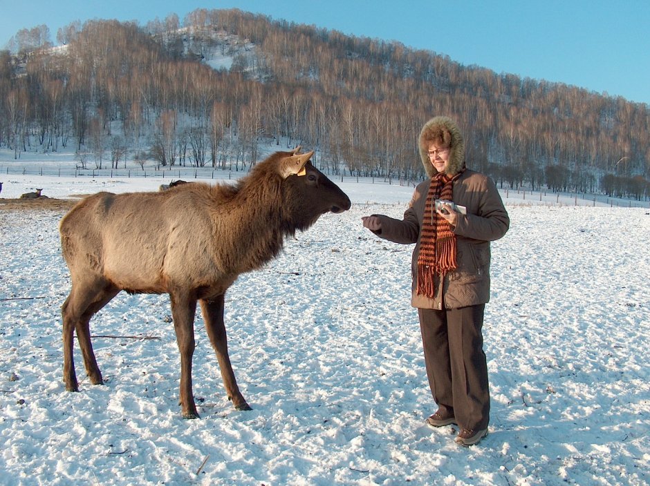 Вишерский заповедник Беркут