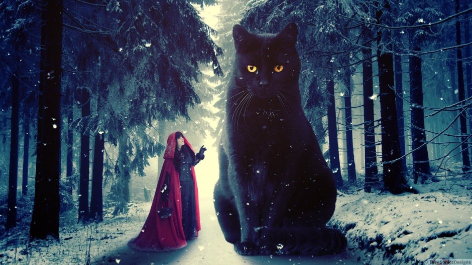 Кошка зима