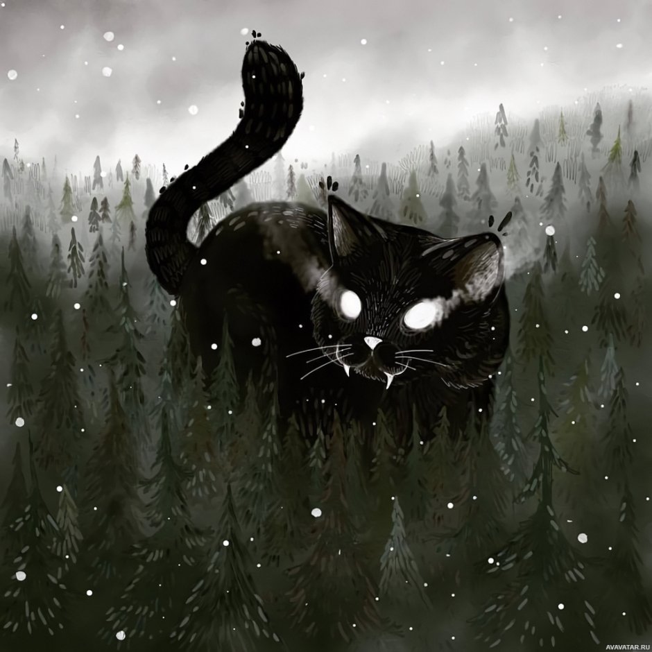 Йольский кот Исландия