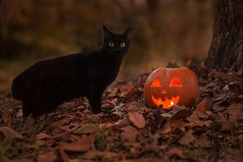 Helloween Самхейн
