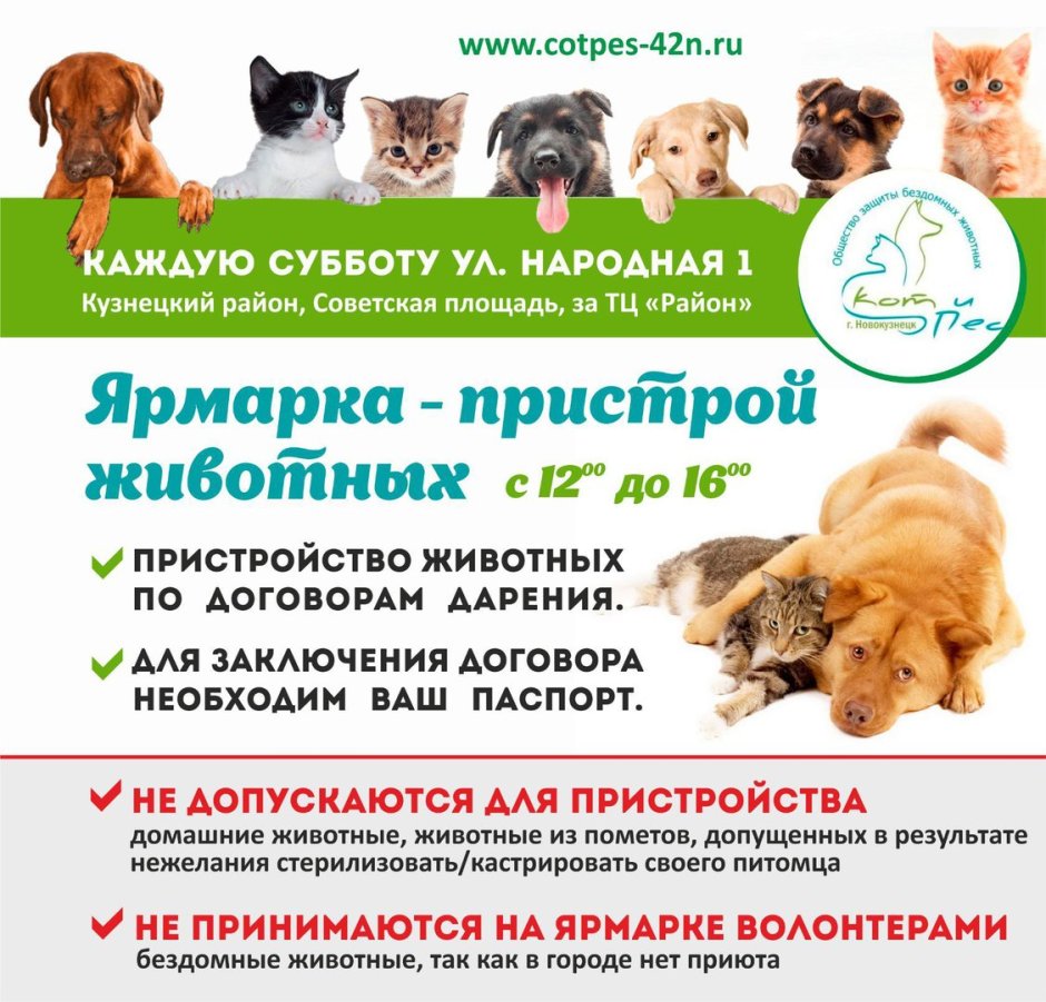 Вадим Трунов белки