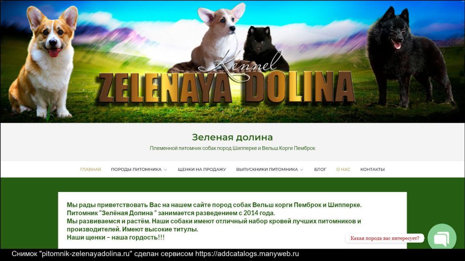 Ездовые хаски в Карелии