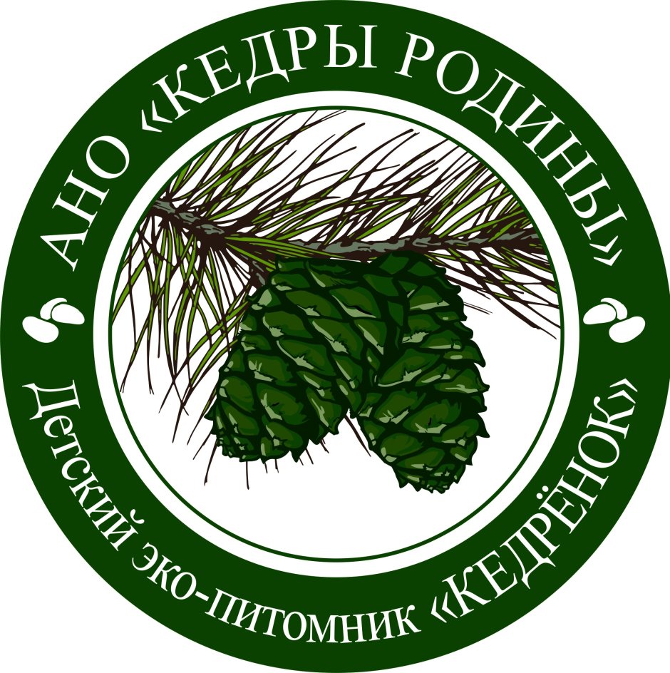 Белка зимой