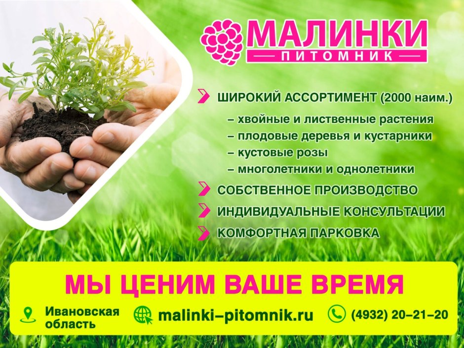 Питомник растений Бесединский Курск