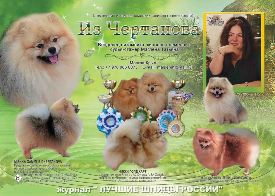 Зоотовары баннер