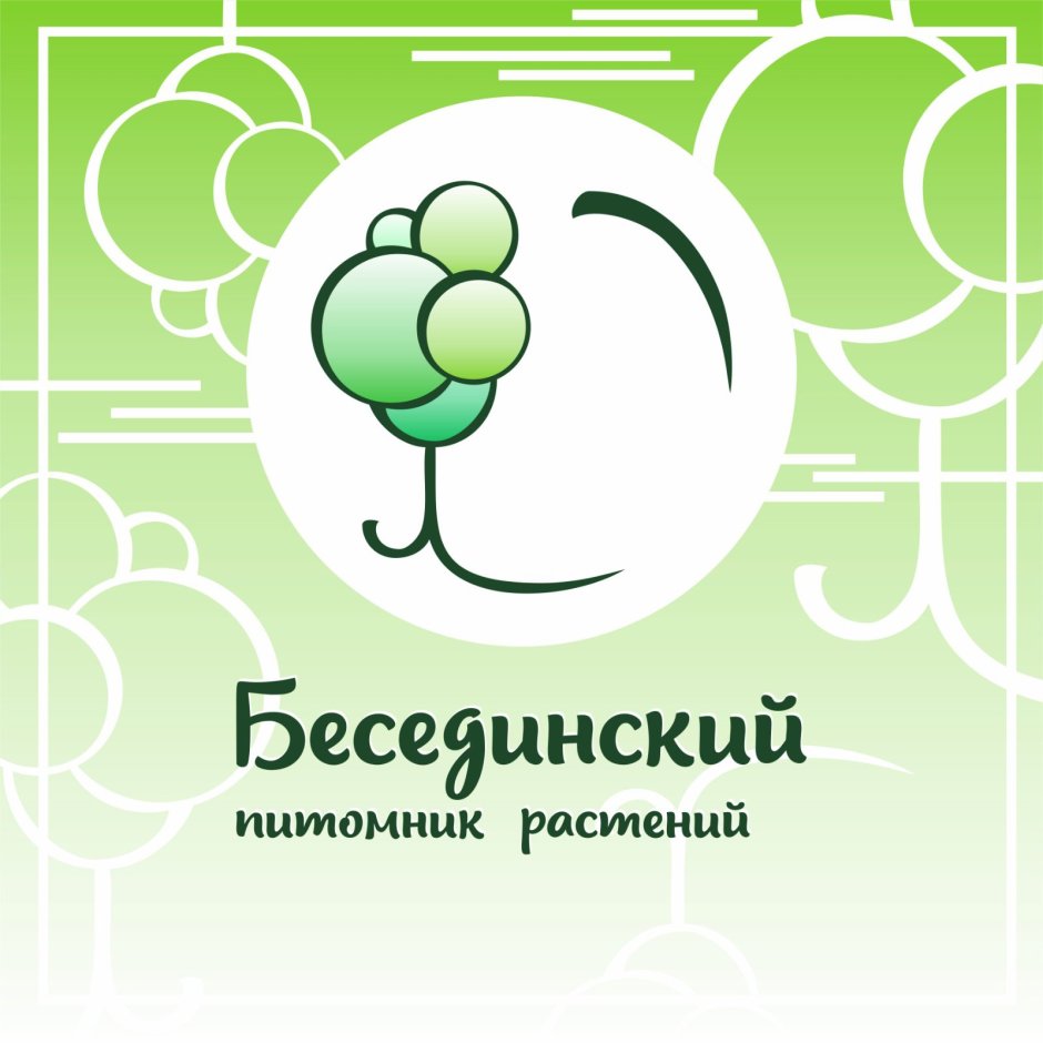 Зоомагазин кошки