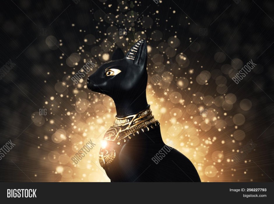 Египетская кошка исполняющая желания