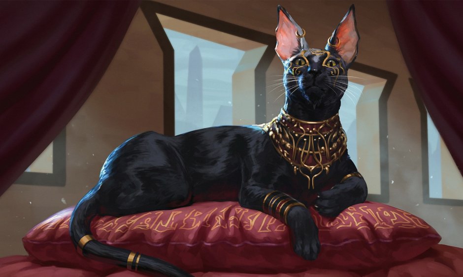 Египетская кошка сфинкс