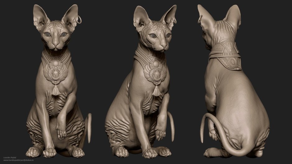 Кошка сфинкс сбоку