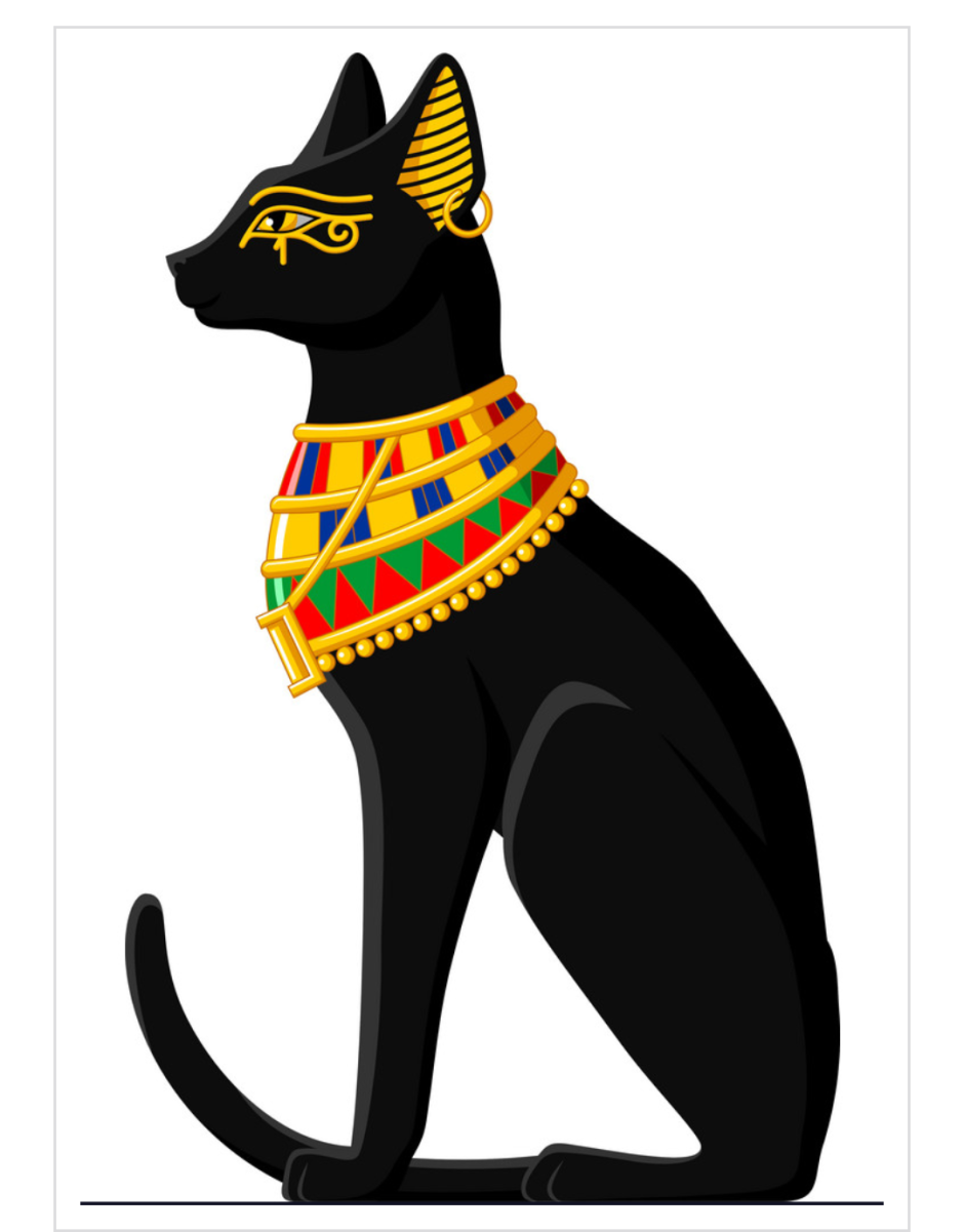 Ориентальная кошка эбони