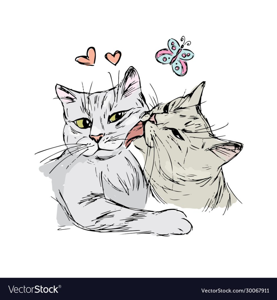 Любовь котики нарисованные