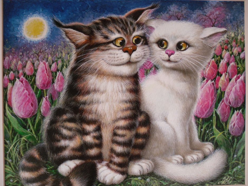 Котик дарит любовь