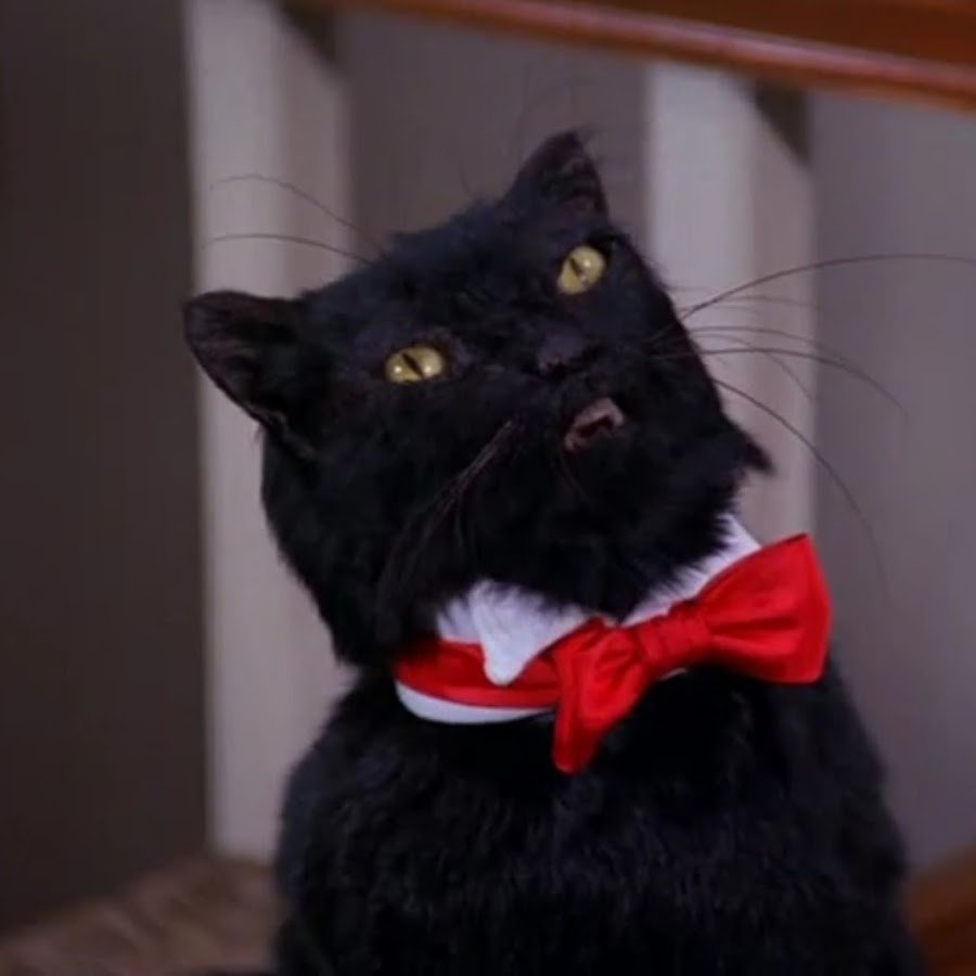 Сабрина маленькая ведьма кот Салем