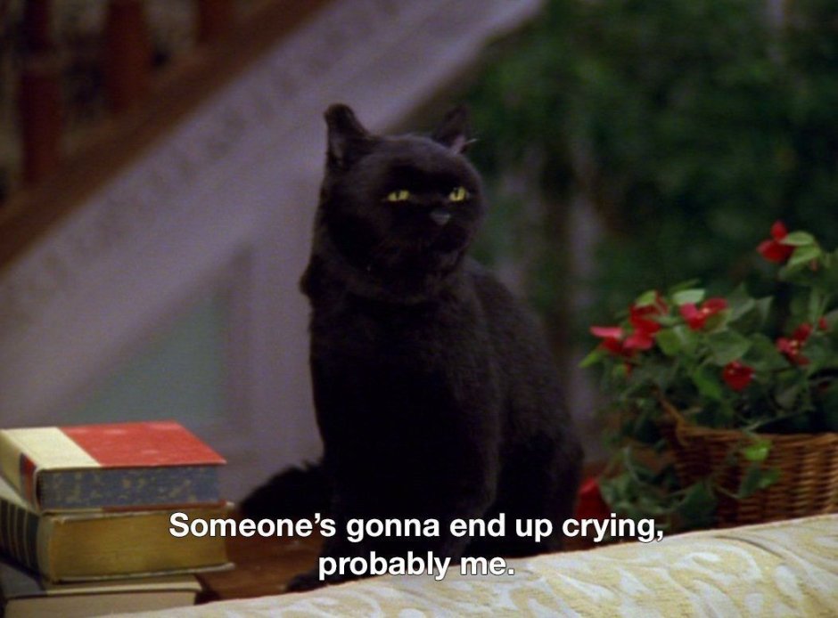 Зачарованные кот Салем